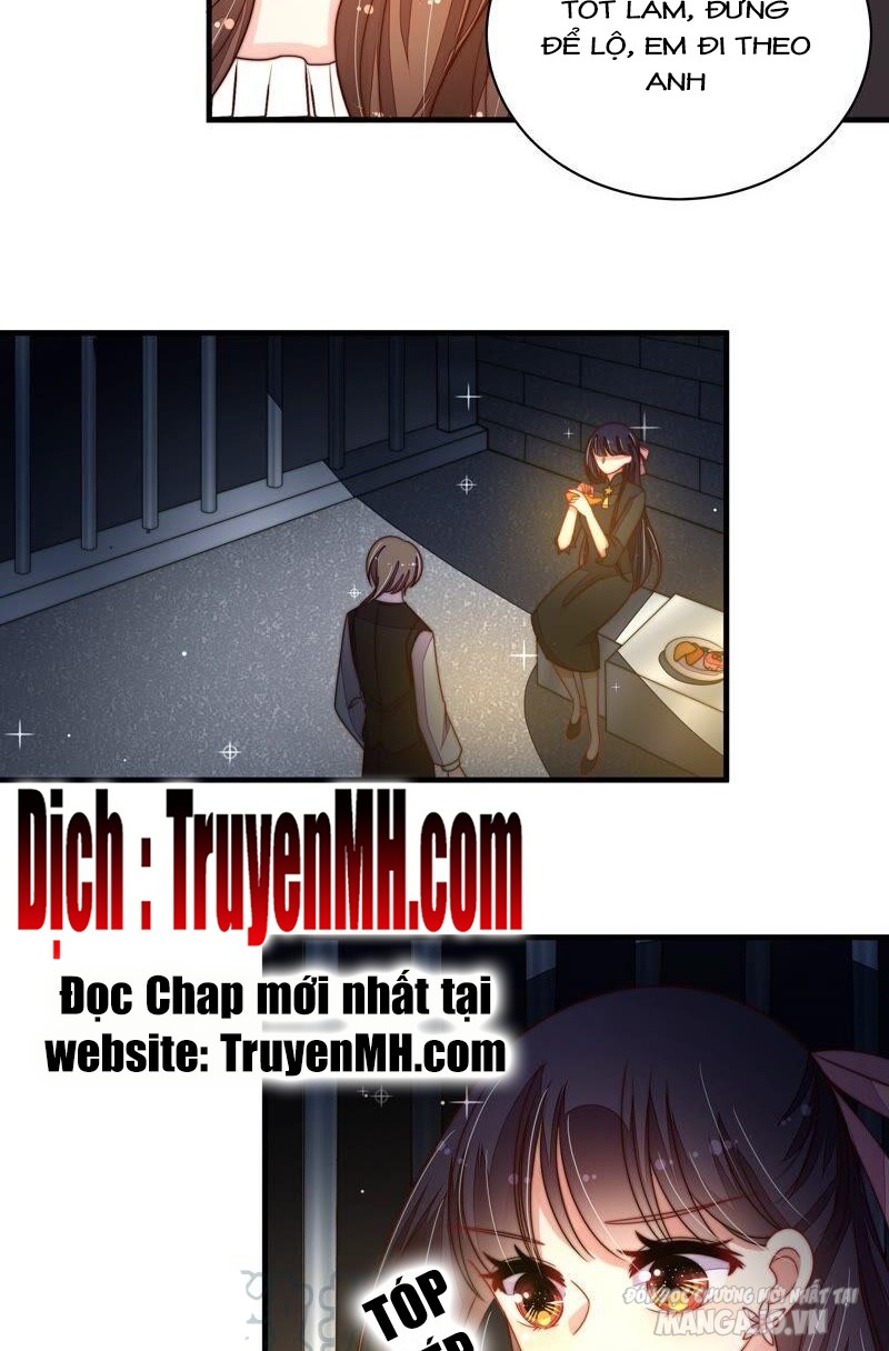 Ngày Nào Thiếu Soái Cũng Ghen Chapter 381 - Trang 2