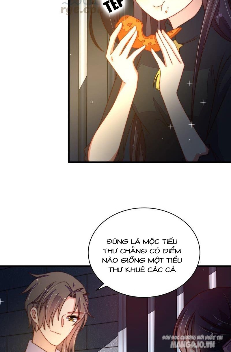 Ngày Nào Thiếu Soái Cũng Ghen Chapter 381 - Trang 2