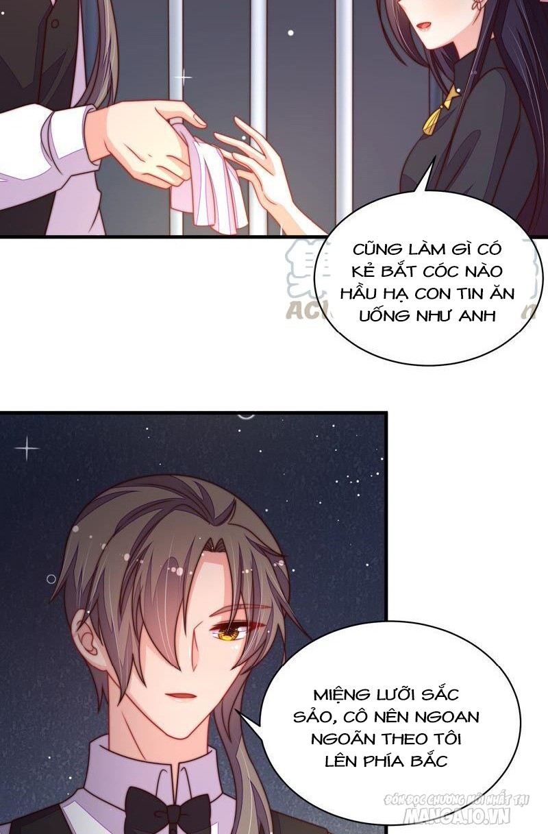 Ngày Nào Thiếu Soái Cũng Ghen Chapter 381 - Trang 2