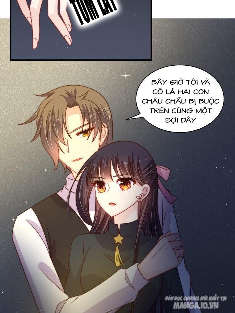 Ngày Nào Thiếu Soái Cũng Ghen Chapter 382 - Trang 2