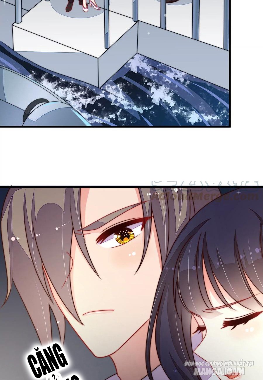 Ngày Nào Thiếu Soái Cũng Ghen Chapter 387 - Trang 2