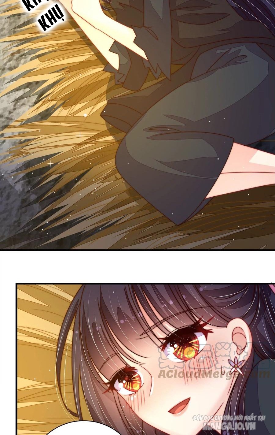 Ngày Nào Thiếu Soái Cũng Ghen Chapter 393 - Trang 2