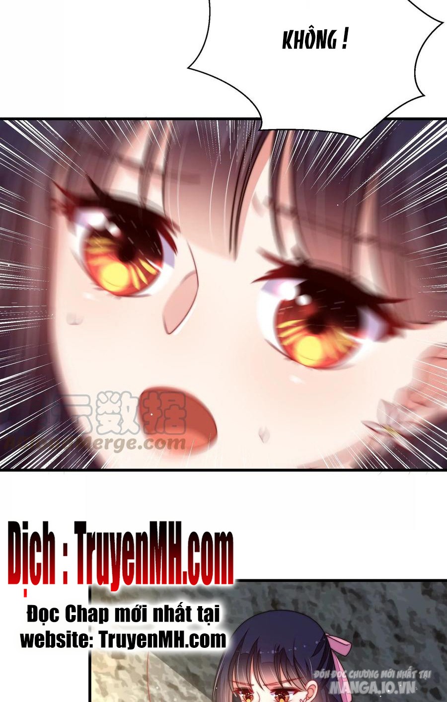 Ngày Nào Thiếu Soái Cũng Ghen Chapter 394 - Trang 2