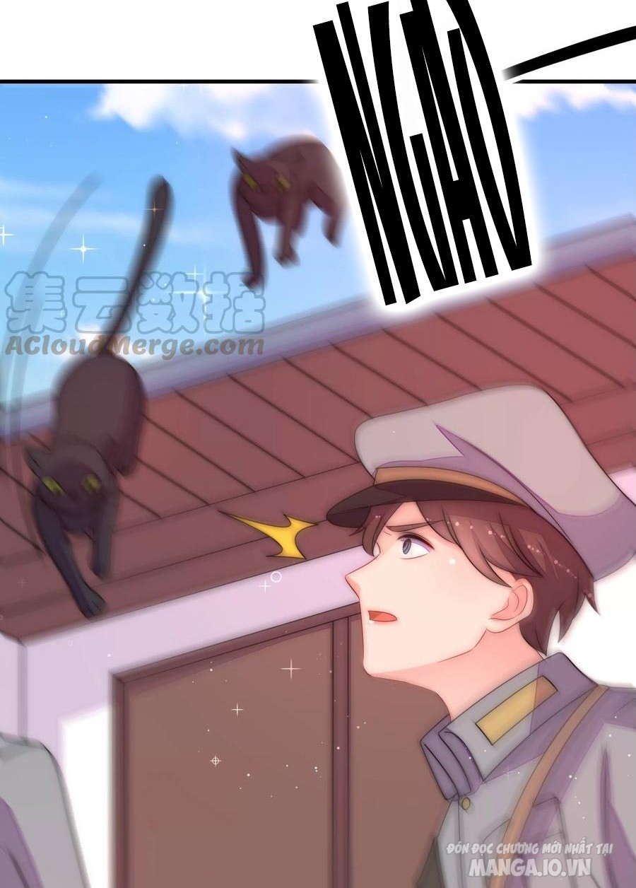 Ngày Nào Thiếu Soái Cũng Ghen Chapter 409 - Trang 2