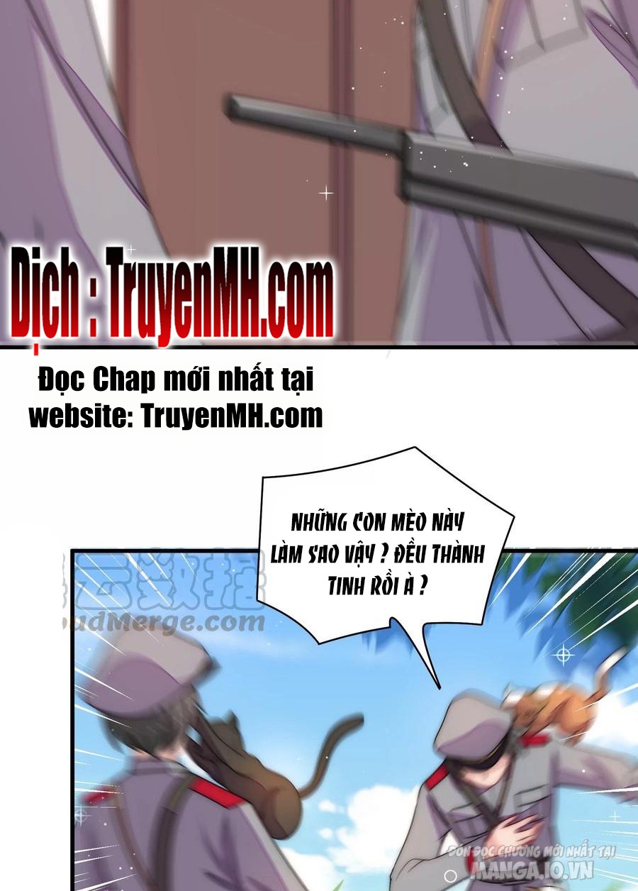 Ngày Nào Thiếu Soái Cũng Ghen Chapter 409 - Trang 2