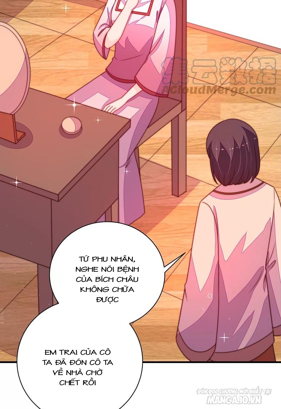 Ngày Nào Thiếu Soái Cũng Ghen Chapter 424 - Trang 2