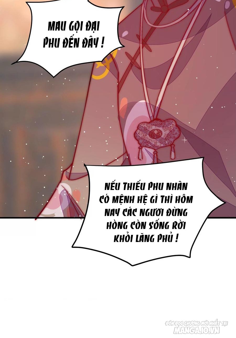 Ngày Nào Thiếu Soái Cũng Ghen Chapter 447 - Trang 2