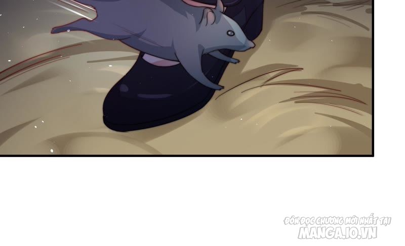 Ngày Nào Thiếu Soái Cũng Ghen Chapter 45 - Trang 2