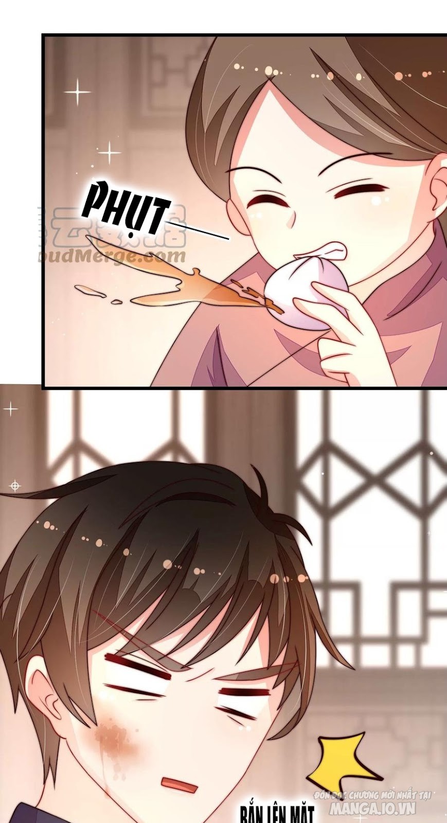 Ngày Nào Thiếu Soái Cũng Ghen Chapter 452 - Trang 2