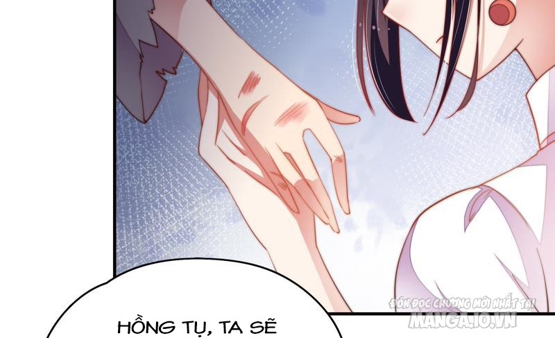 Ngày Nào Thiếu Soái Cũng Ghen Chapter 46 - Trang 2