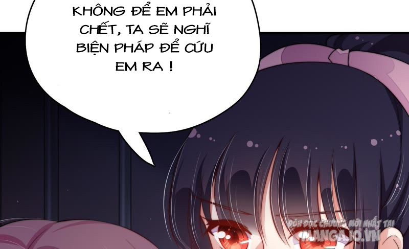 Ngày Nào Thiếu Soái Cũng Ghen Chapter 46 - Trang 2