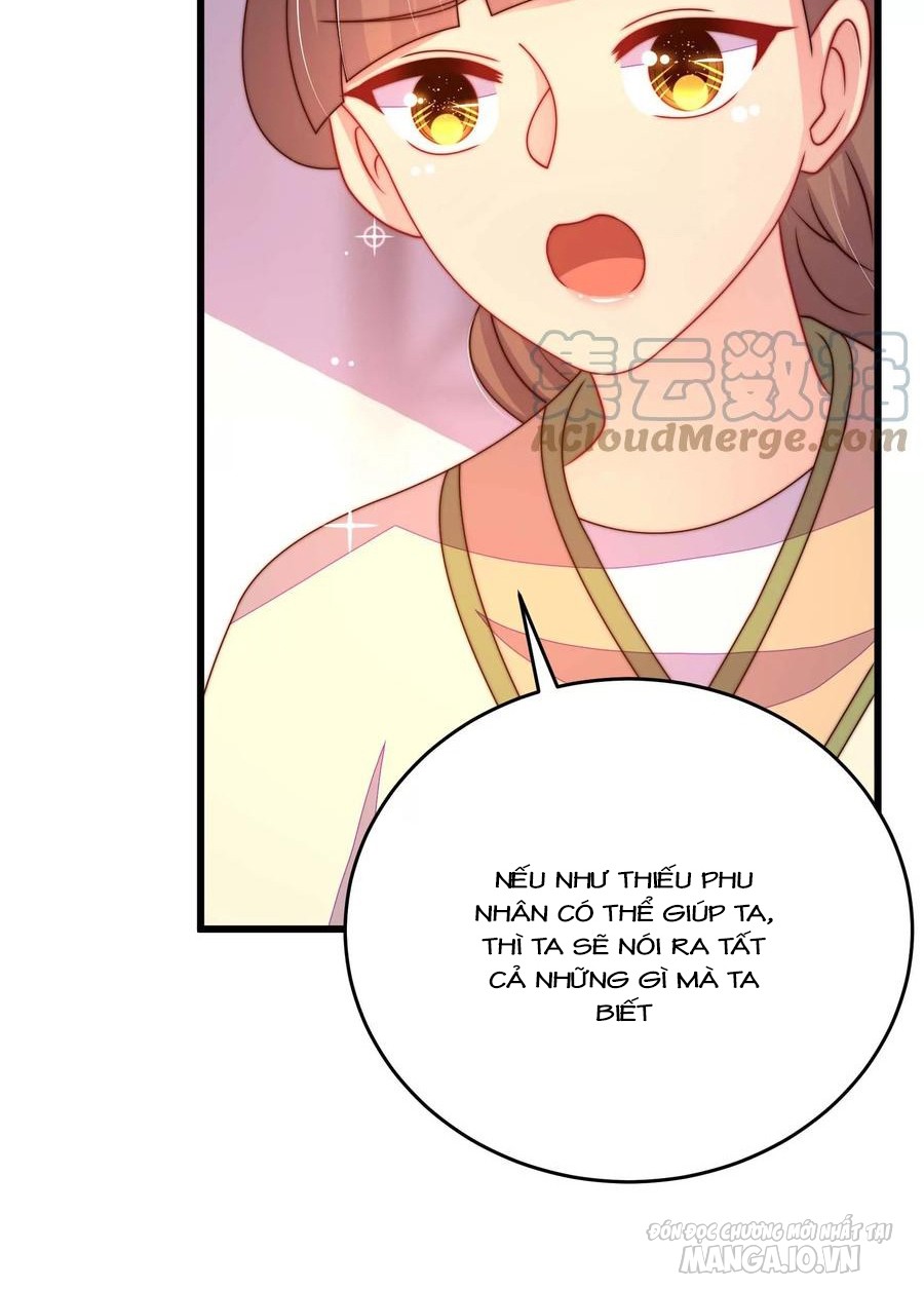 Ngày Nào Thiếu Soái Cũng Ghen Chapter 468 - Trang 2