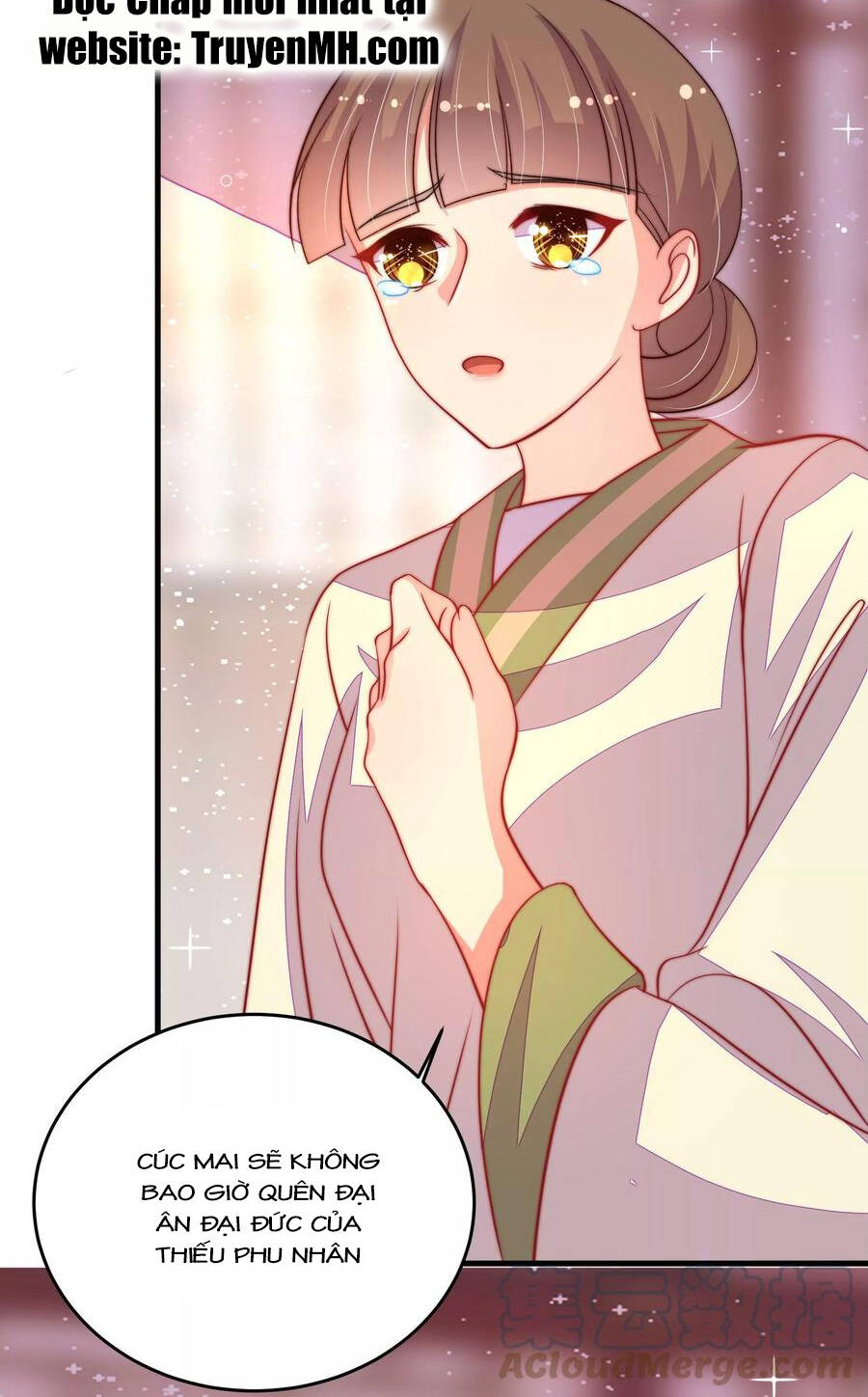 Ngày Nào Thiếu Soái Cũng Ghen Chapter 469 - Trang 2