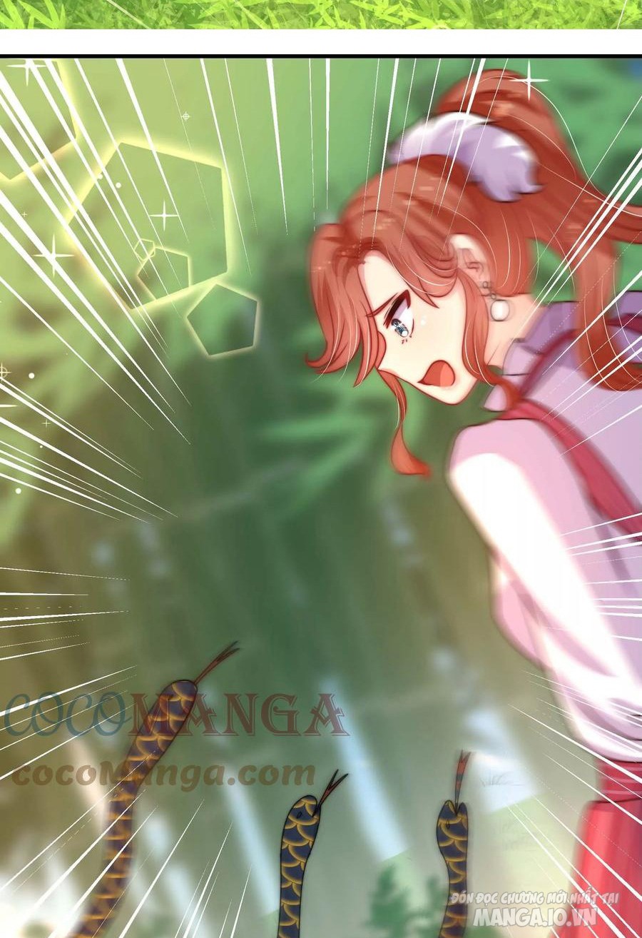 Ngày Nào Thiếu Soái Cũng Ghen Chapter 478 - Trang 2