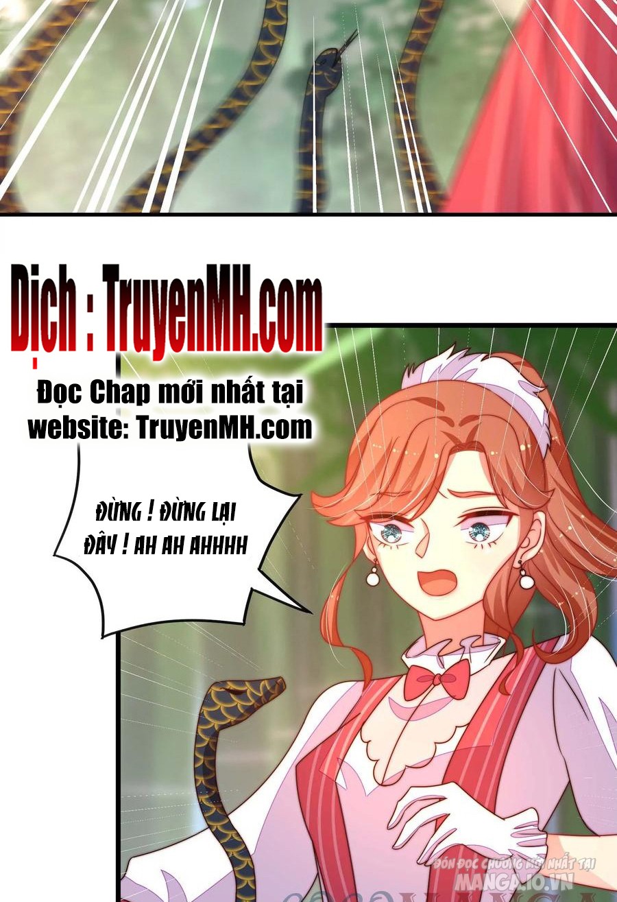 Ngày Nào Thiếu Soái Cũng Ghen Chapter 478 - Trang 2