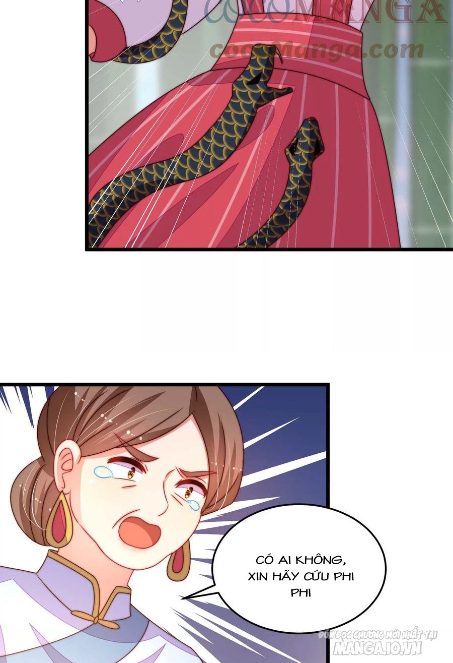 Ngày Nào Thiếu Soái Cũng Ghen Chapter 478 - Trang 2