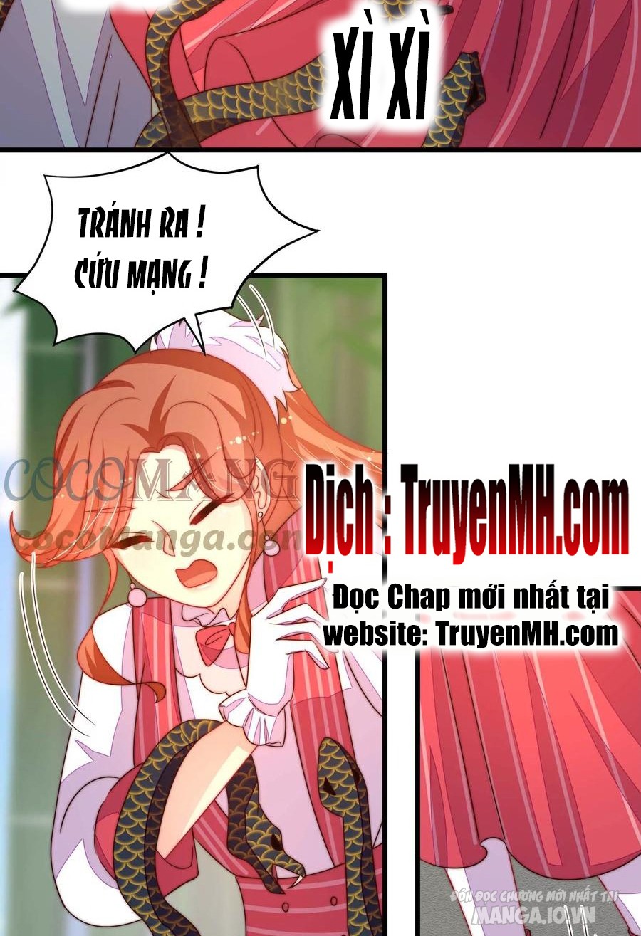 Ngày Nào Thiếu Soái Cũng Ghen Chapter 478 - Trang 2