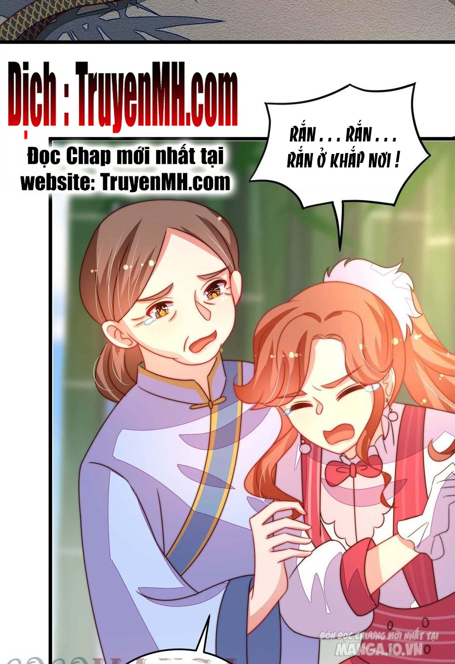 Ngày Nào Thiếu Soái Cũng Ghen Chapter 478 - Trang 2