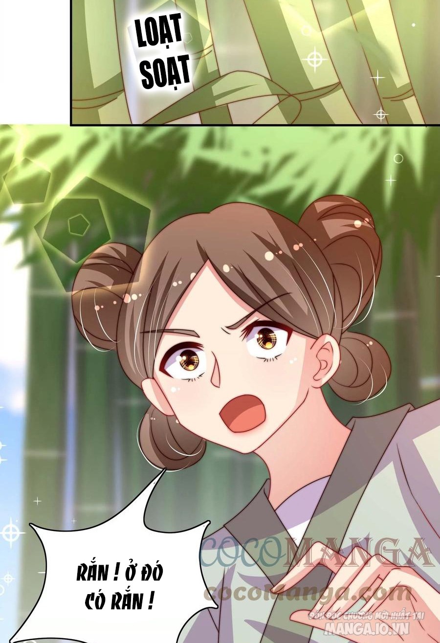 Ngày Nào Thiếu Soái Cũng Ghen Chapter 478 - Trang 2