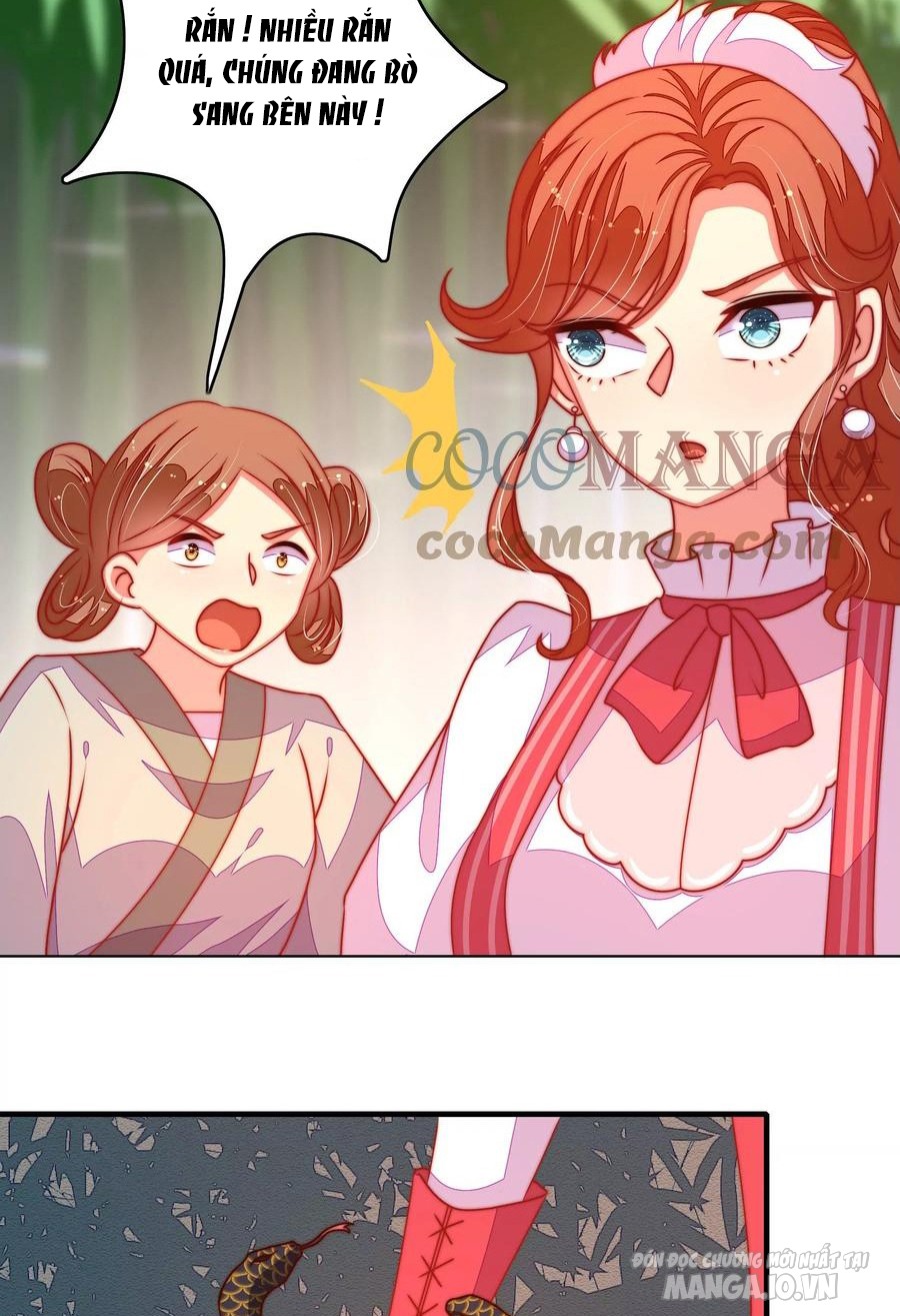 Ngày Nào Thiếu Soái Cũng Ghen Chapter 478 - Trang 2