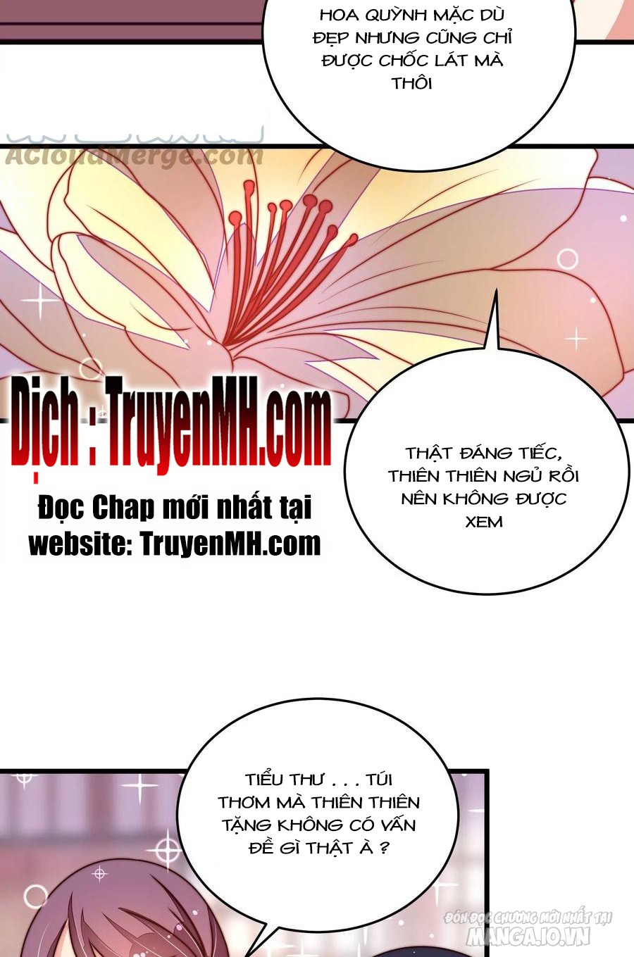 Ngày Nào Thiếu Soái Cũng Ghen Chapter 480 - Trang 2