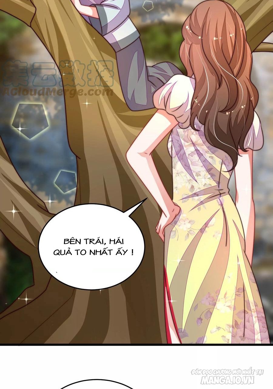 Ngày Nào Thiếu Soái Cũng Ghen Chapter 483 - Trang 2