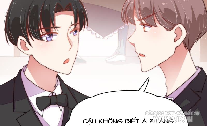 Ngày Nào Thiếu Soái Cũng Ghen Chapter 49 - Trang 2