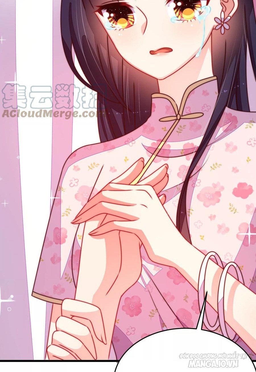 Ngày Nào Thiếu Soái Cũng Ghen Chapter 499 - Trang 2