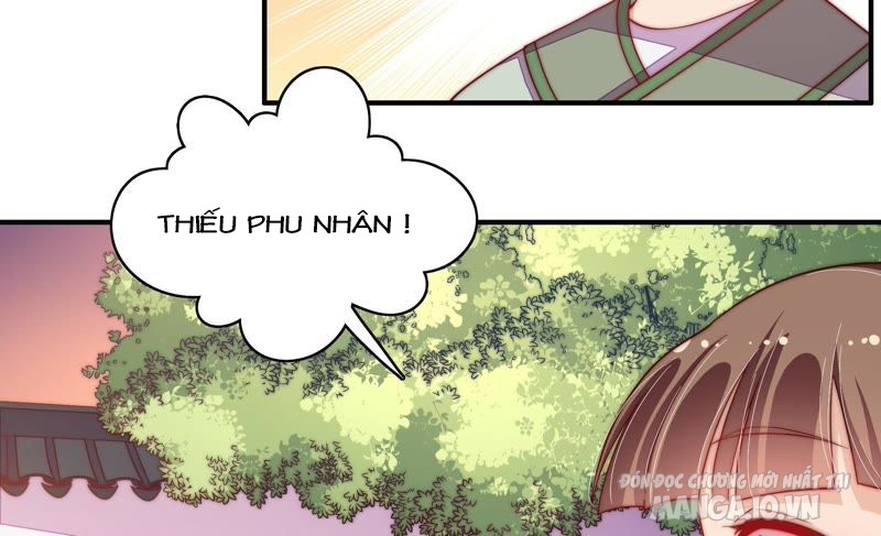 Ngày Nào Thiếu Soái Cũng Ghen Chapter 50 - Trang 2