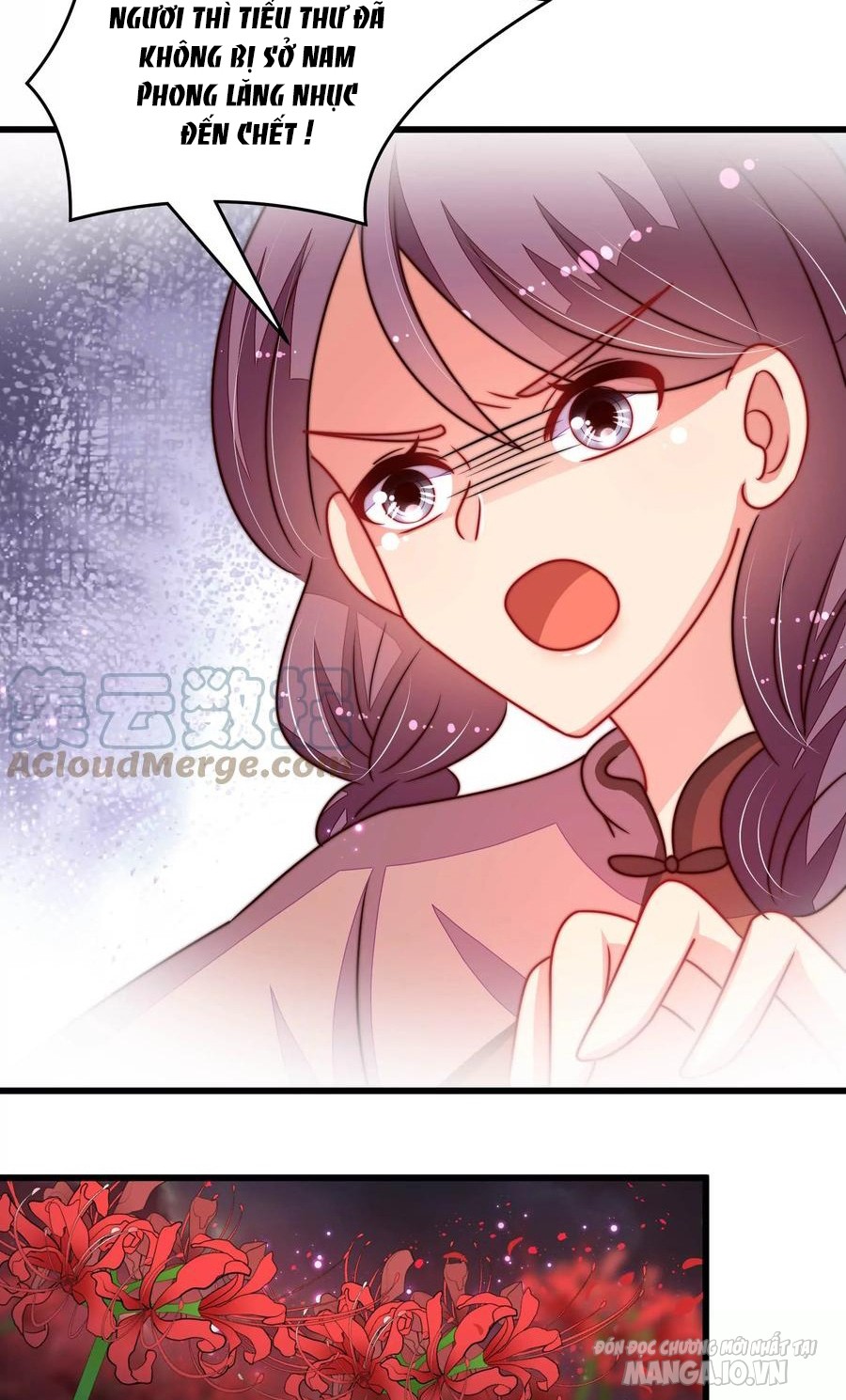 Ngày Nào Thiếu Soái Cũng Ghen Chapter 506 - Trang 2