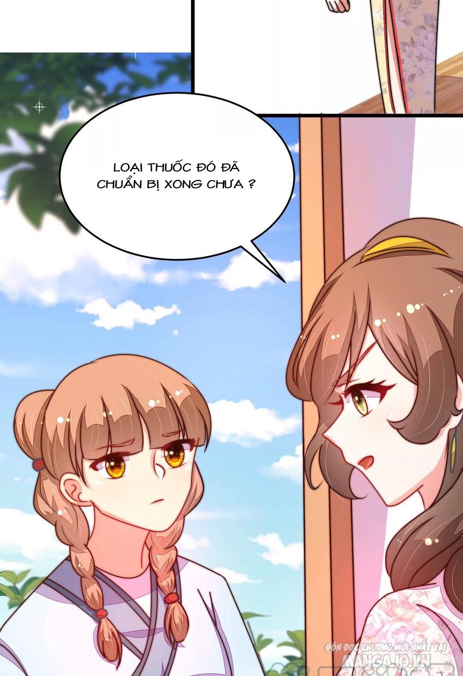 Ngày Nào Thiếu Soái Cũng Ghen Chapter 508 - Trang 2