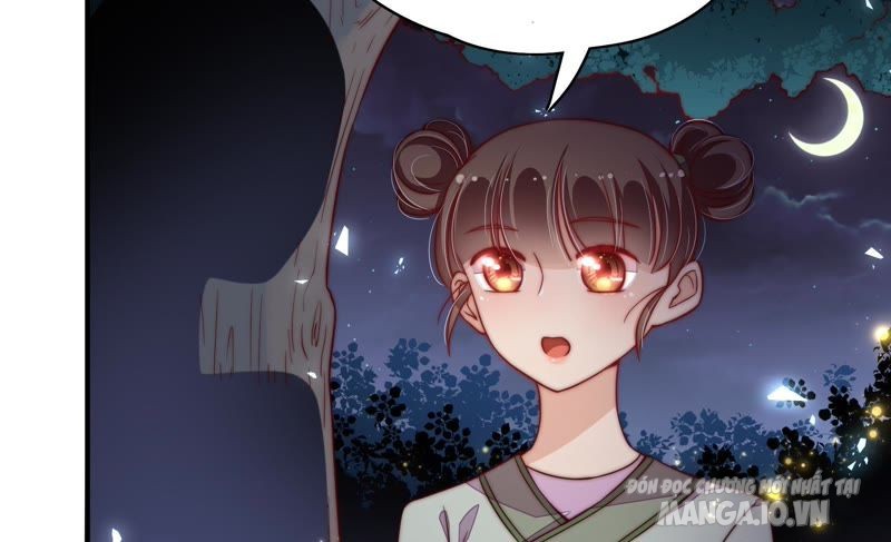 Ngày Nào Thiếu Soái Cũng Ghen Chapter 52 - Trang 2