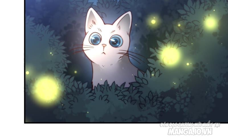 Ngày Nào Thiếu Soái Cũng Ghen Chapter 53 - Trang 2