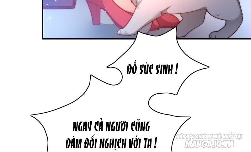 Ngày Nào Thiếu Soái Cũng Ghen Chapter 53 - Trang 2