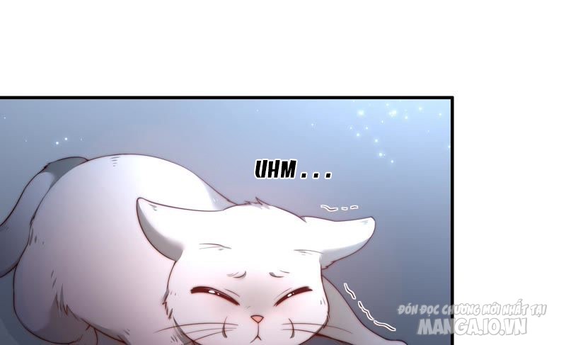 Ngày Nào Thiếu Soái Cũng Ghen Chapter 53 - Trang 2