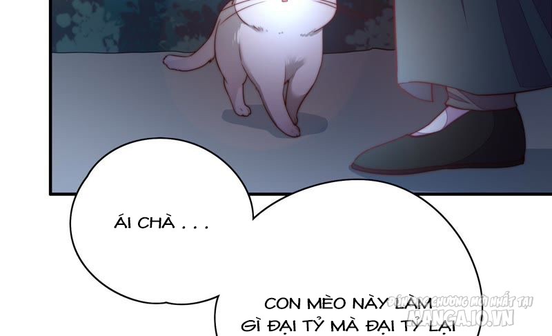 Ngày Nào Thiếu Soái Cũng Ghen Chapter 53 - Trang 2