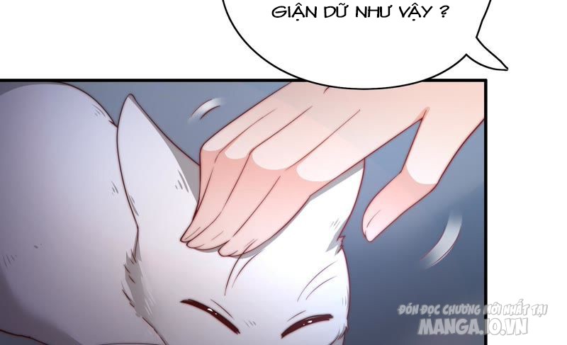 Ngày Nào Thiếu Soái Cũng Ghen Chapter 53 - Trang 2