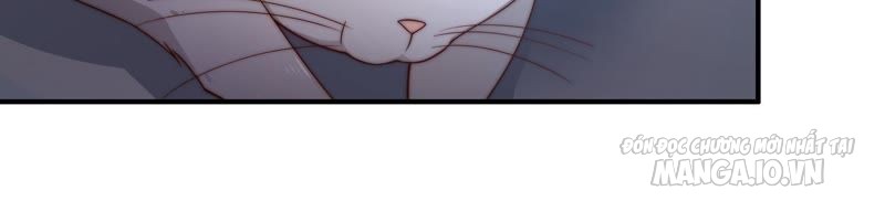 Ngày Nào Thiếu Soái Cũng Ghen Chapter 53 - Trang 2