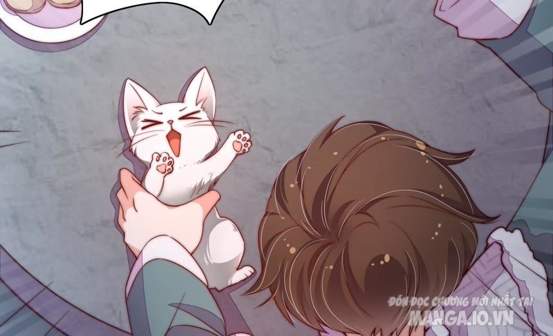 Ngày Nào Thiếu Soái Cũng Ghen Chapter 54 - Trang 2