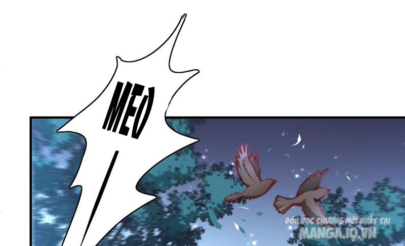 Ngày Nào Thiếu Soái Cũng Ghen Chapter 54 - Trang 2