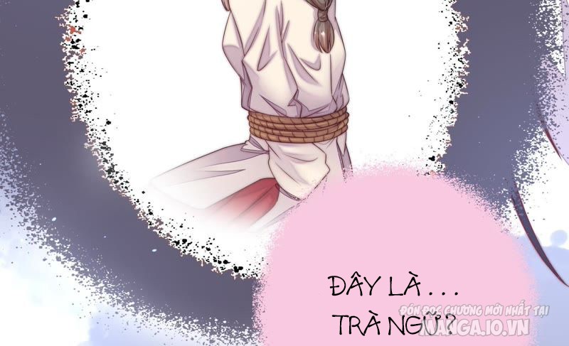 Ngày Nào Thiếu Soái Cũng Ghen Chapter 6 - Trang 2