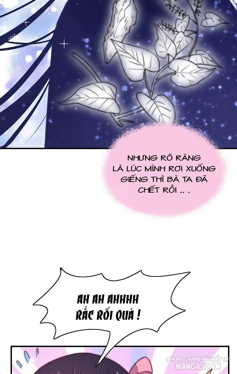 Ngày Nào Thiếu Soái Cũng Ghen Chapter 71 - Trang 2