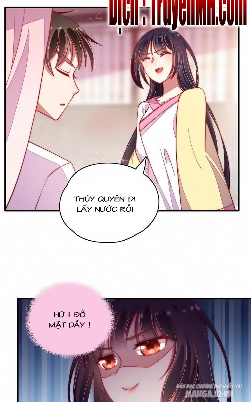 Ngày Nào Thiếu Soái Cũng Ghen Chapter 74 - Trang 2