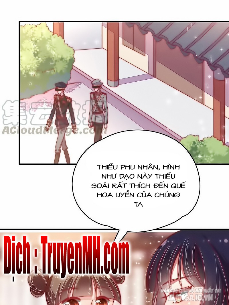 Ngày Nào Thiếu Soái Cũng Ghen Chapter 75 - Trang 2