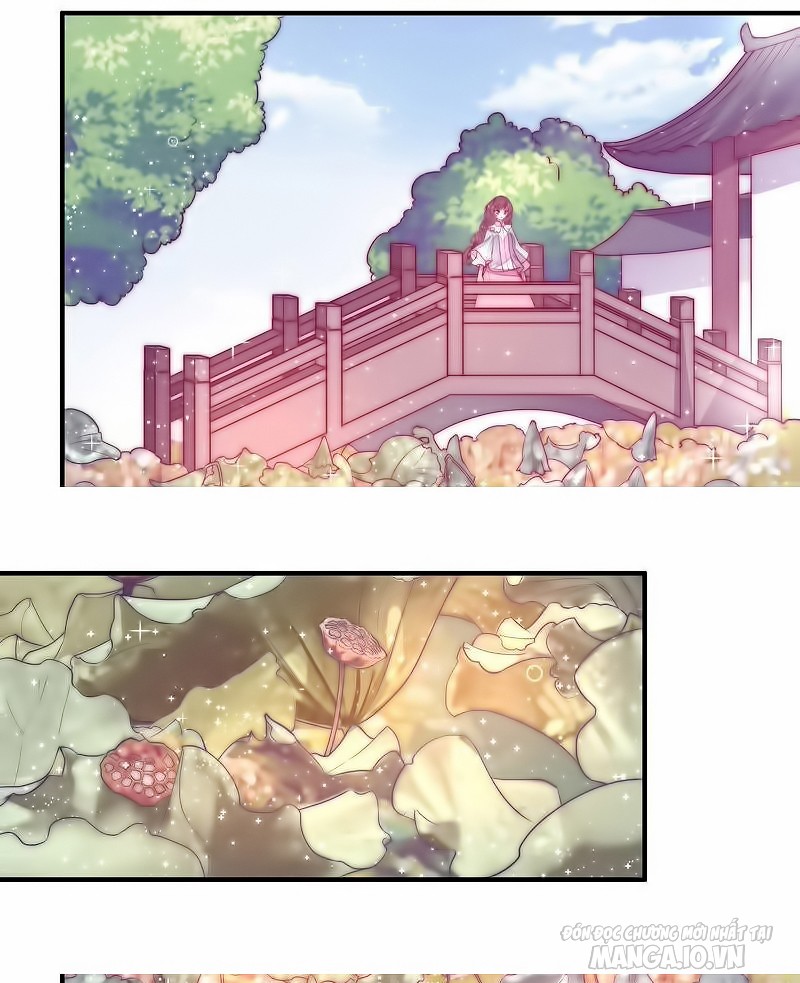 Ngày Nào Thiếu Soái Cũng Ghen Chapter 76 - Trang 2