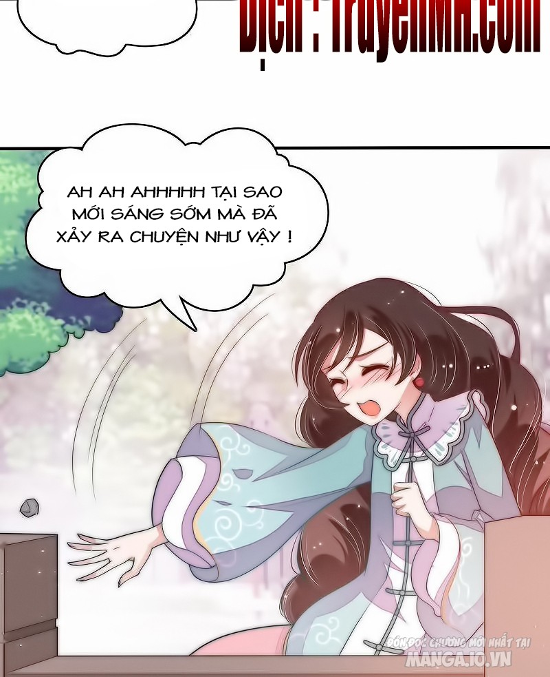 Ngày Nào Thiếu Soái Cũng Ghen Chapter 76 - Trang 2