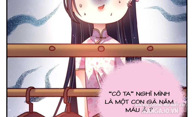 Ngày Nào Thiếu Soái Cũng Ghen Chapter 8 - Trang 2