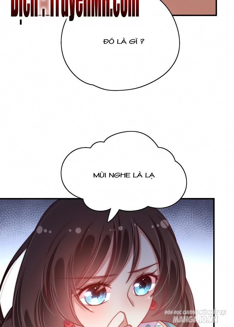 Ngày Nào Thiếu Soái Cũng Ghen Chapter 83 - Trang 2