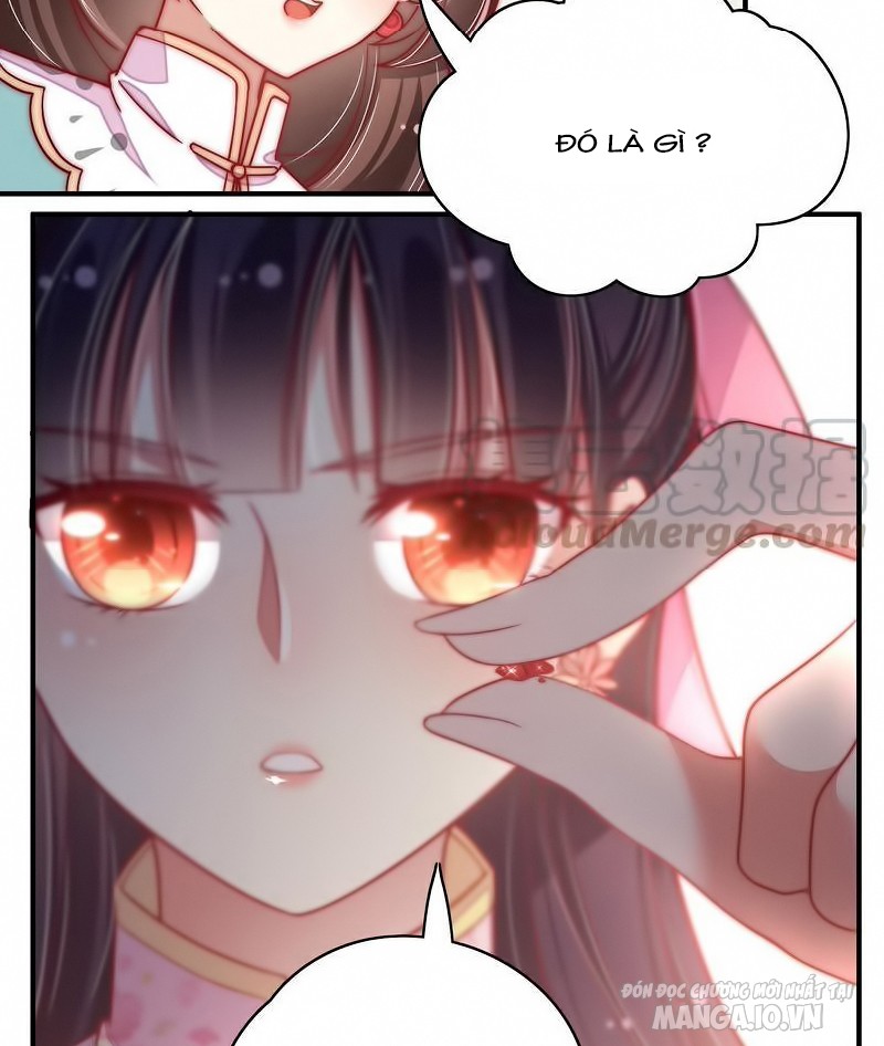 Ngày Nào Thiếu Soái Cũng Ghen Chapter 84 - Trang 2