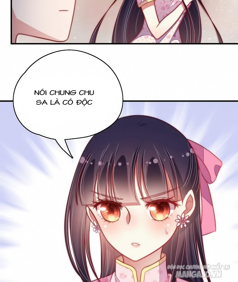 Ngày Nào Thiếu Soái Cũng Ghen Chapter 84 - Trang 2